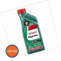 CASTROL Масло моторное Ford Magnatec Professional E SAE 5w30 масло (1л) 151FF3 Синтетика
